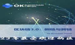 全面解析：2023年最受欢迎