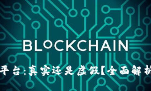 腾龙区块链平台：真实还是虚假？全面解析与前景展望