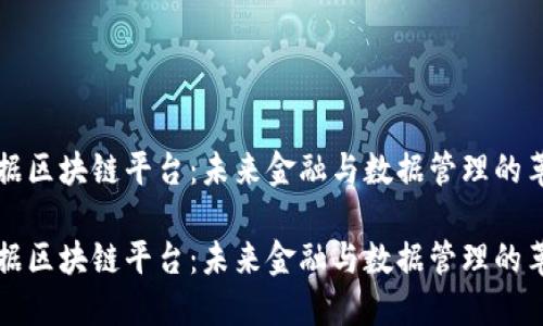 探索大数据区块链平台：未来金融与数据管理的革命性变革

探索大数据区块链平台：未来金融与数据管理的革命性变革