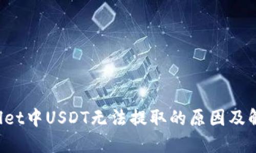 TP Wallet中USDT无法提取的原因及解决方案